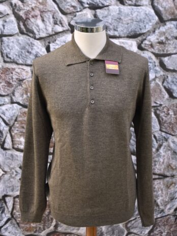 Ανδρικό πουλόβερ με γιακά